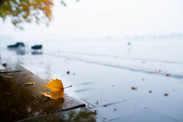 一场秋雨一场寒